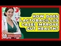 How Does Lactobacillus Casei Improve Gut Health - Sensitive Stomach Guide