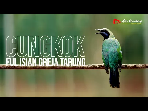 Download MP3 CUNGKOK FULL ISIAN GREJA TARUNG