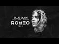 Download Lagu BIllie Eilish - Everything I Wanted ROMEO Remix