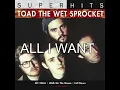 ALL I WANT by Toad the Wet Sprocket (LYRICS)