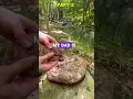 Part 2