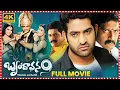 Download Lagu Jr. NTR Brindavanam Movie | Samantha | Kajal Aggarwal | Srihari | Vamshi Paidipally | TFC Movies