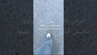 أهديها لنفسي والأرض إللي تمشي فوقيها مافيش قدك يا حبيبتي عليها يومياتي 