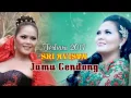 Download Lagu JAMU GENDONG | SRI AVISTA 2017