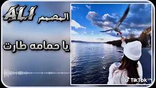 اغنية ياحمامة طارت طارت العالي   دندنها