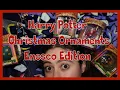 Harry Potter Christmas Ornaments Enesco Edition