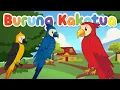 Download Lagu BURUNG KAKAKTUA | BURUNG KAKATUA | BURUNG KAKAK TUA | LAGU ANAK POPULER INDONESIA | KARAOKE LIRIK