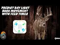 Predict DAILY BUCK MOVEMENT using Specific Moon Times Major and Minor Feed Times
