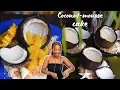 Download Lagu Coconut chocolate-mousse cake| Viral desserts