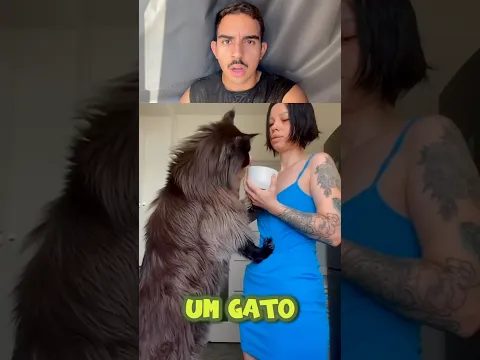 UM GATO DE TRÊS OLHOS FOI ￼ENCONTRADO!!! ib: @am4rgo