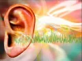 Extremely Powerful Tinnitus Sound Therapy Binaural Beats Tinnitus Masking Naturally Healing Sounds