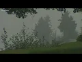 Wind coupled with rain will help clear smoky Puget Sound skies this weekend