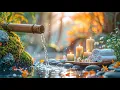 Download Lagu Deep Sleep Music 🍁 Bamboo Water Sounds and Relaxing Music, Stress Relief Therapy \u0026 Meditation Music
