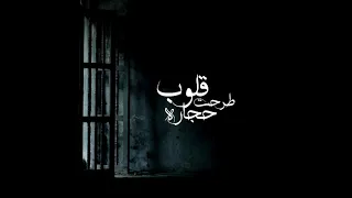 اغنيه   القلوب طرحت حجاره   غناء طارق الشيخ   توزيع   زيزو فاروق                       دندنها