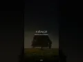 Download Lagu Surah Al- Kawthar {108:1-3} by: Saad Al Ghamdi | سعد الغامدي | #quran #quranrecitation #islam
