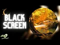 Download Lagu [NO ADS] Endless | Ambient Sleep Music with Black Screen by Peder B. Helland