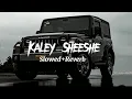 Download Lagu Kaley Sheeshe { Slowed + Reverb } | Kaley Sheeshe Lofi Song 🎧👈