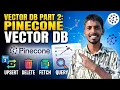 Pinecone Vector Database Tutorial Upsert Delete Fetch and Query Explained