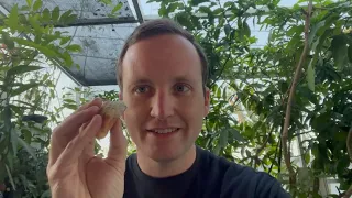 Raspberry Orange Taste Test