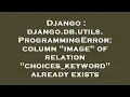 Django django db utils ProgrammingError column image of relation choices - keyword already exis