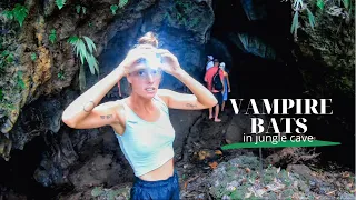 VAMPIRE BATS in the depth of the PANAMA jungle | Ep 75 | Sailing Merewether