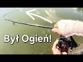 Download Lagu To Branie zmienilo Wszystko! Końcówka Wygrała! Piękne Ryby na Method Feeder! Wędkarstwo Feederowe!
