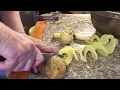 Spiral potatoes with the Apple Peeler Corer Slicer