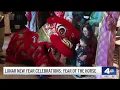2026 Lunar New Year marks the year of the horse