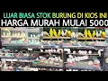 Lagu ✅ LUAR BIASA STOK BURUNG DI KIOS INI FULL HARGA MURAH MULAI 5 RIBUAN DI PASAR BURUNG PRAMUKA