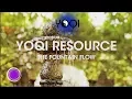 Download Lagu THE FOUNTAIN: YOQI Qigong flow