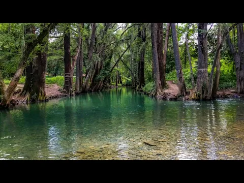 Download MP3 ¡Increíble este Río cerca de Monterrey! | Río Ramos ¿Cómo llegar?