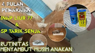 Download sp tarik senja inap liur 77 pemakaian 4 bulan MP3