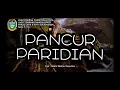 Download Lagu PANCUR PARIDIAN. Vokal Lirik dan Arti Terjemahan Lagu Tembang Daerah Mandailing Sumatera Utara