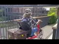 Download Lagu Ingezonden video: Easy Rider klantervaring van Mieke