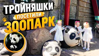 Как мы гуляли в зоопарке: Тройняшки 👼👼👼