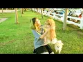 เรื่องมหัศจรรย์ - Sofa [UNOFFICIAL MV]