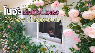 โนอะเล่นเปียโนเพลง Disney Cinderella ท่ามกลางสวนกุหลาบบานสะพรั่ง 🌸🎹