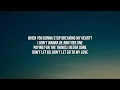 Edward Maya, Vika Jigulina - Stereo love (Radio Edit) [Lyrics]