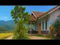 Download Lagu Buka Pintu Langsung Sawah‼️Rumah Idaman Di Tengah Alam Indah Sumedang