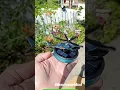 Download Lagu https://vt.tiktok.com/ZSAT4tDbF/