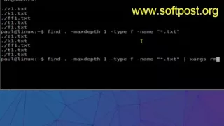 How to delete all files with specific extension in BASH shell terminal
