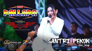 santri pekok lala widy new pallapa dhehan pro audio lowo ireng community