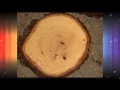 5-12 inch Diameter Hickory and coated CNC machined flat Lazy susan turntable