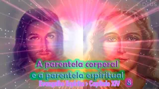 O Evangelho Espirita - Cap XIV - A parentela corporal e a parentela espiritual, 8