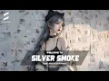 Download Lagu TRACK LIST SILVER SMOKE - FAKE LOVE x DA DA DA x FAIRY TAIL REMIX - FULL NHẠC ĐỘNG LỰC REMIX