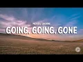 Michael Sanzone - Going Going Gone