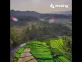 Download Lagu semalam di malaysia