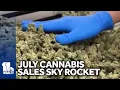 Maryland cannabis sales sky-high in July alone