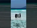 Download Lagu Hidup adalah sebuah perjalanan panjang. Terkadang jalannya mendaki, terjal, namun di puncaknya, kita