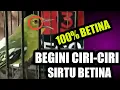 Download Lagu 100% AKURAT!! CIRI-CIRI BURUNG SIRTU BETINA (Common Iora)